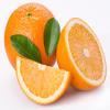 تمام خواص درمانی پرتقال و ویتامین ها و املاح موجود در آن